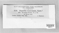 Image Associated With the Occurence